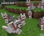 Wolves of Minecraft