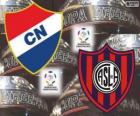 Club Nacional of Paraguay vs San Lorenzo de Almagro of Argentina. Final Copa Libertadores 2014