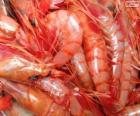 Fresh prawns