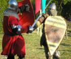 Two soldiers fighting with swords and shields