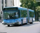 An articulated bus of two modules