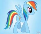 Rainbow Dash, a pegasus pony with the rainbow tail