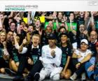 Lewis Hamilton, F1 world champion 2014 with Mercedes