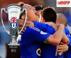 The U, Club Universidad de Chile, Chilean champion Apertura 2014