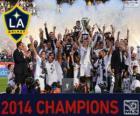 Los Angeles Galaxy, 2014 MLS champion