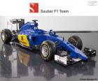 Team formed by Marcus Ericsson, Felipe Nasr and the new Sauber C34