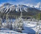 Winter photo by Crowfoot Mountain, Banff National Park in Alberta, Canada