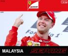 Sebastian Vettel celebrates his victory in the 2015 Malaysia Grand Prix