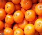 Tangerines for sale. Tangerine is a citrus and contains lots of vitamin C