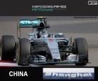 Rosberg G.P Chinese 2015