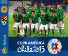 Selection of Bolivia, Group A of the Copa America Chile 2015