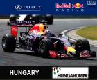 D. Ricciardo 2015 Hungarian Grand Prix