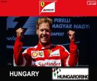 Sebastian Vettel celebrates his victory in the 2015 Hungarian Grand Prix