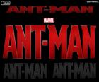 Logo of the film from Marvel Ant-Man