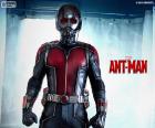 Ant-Man is the main protagonist of the film. Costume transforms it into the Ant-Man