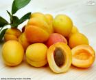 Apricot is the fruit of the apricot, a tree native to China