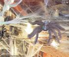 Halloween decoration with spider webs and a huge hairy spider