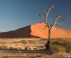 Namib Desert, Namibia