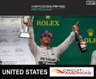 Lewis Hamilton celebrates his victory in the 2015 United States Grand Prix