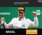 Rosberg 2015 Brazilian Grand Prix
