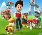 Ryder and dogs Paw Patrol