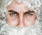 The face of Santa Claus