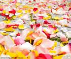 Rose petals wedding