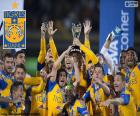 Tigres UANL, champion Mexico 2015