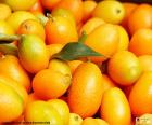 Kumquat or cumquats is the smallest citrus and its rind is edible, it is native to Asia