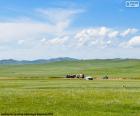 Extensive and green steppe in Mongolia