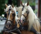 Two horses pulling a carriage in the city