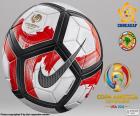 Nike Ordem Ciento the official ball of the Copa América Centenario, United States 2016