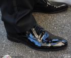 Groom shoes