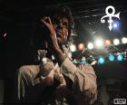 Prince Rogers Nelson (1958-2016) was an American singer of rock, soul, funk and new wave