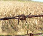 Wire rusted by the passage of time