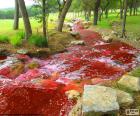 Curious River with red water of flowing through the meadow and the forest