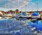 Several sailboats moored in the port and its reflection in the calm water