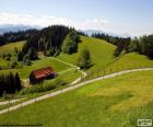 Green meadows Mountain with reliefs, roads and a farm