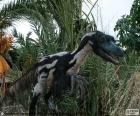 Velociraptor