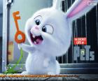 Snowball, a white rabbit