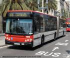 Barcelona's urban bus