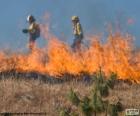 Two firefighters working on a fire