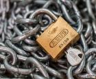 Metal chain and padlock locked