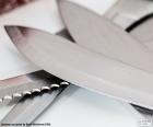 Sharp leaves of different types of stainless steel kitchen knives