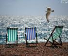 Three chairs of beach and a Seagull flying next to the shore of the sea