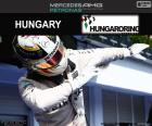 Lewis Hamilton celebrates his fifth win of the season at the Grand Prix of Hungary 2016