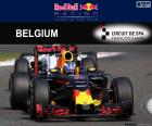 Daniel Ricciardo, second in the Grand Prix of Belgium 2016 piloting his Red Bull