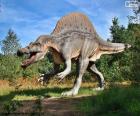 Nice specimen of the dinosaur T-Rex