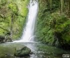 A corner very damp with a waterfall and the rocks full of moss