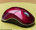 The mouse is a device that facilitates the use of the computer. It is a peripheral of entry